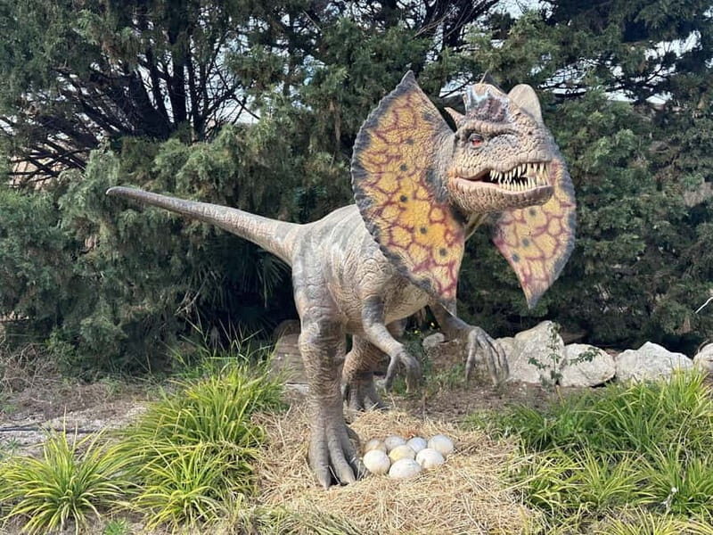 Carini: admission ticket to the Biopark of Sicily - FAQ