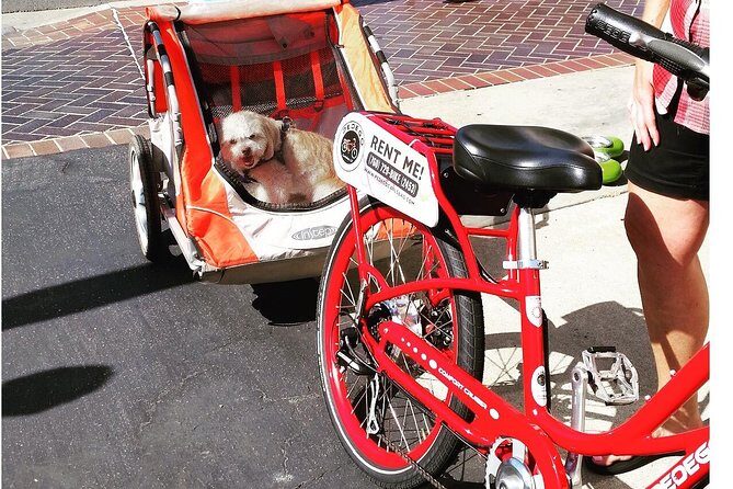 Carlsbad 3-Hour Electric Bike Rental - Final Thoughts