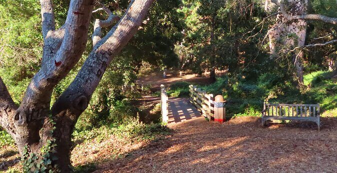 Carmel-by-the-Sea Mission Areas: A Self-Guided Audio Tour - Is it Worth the Money?