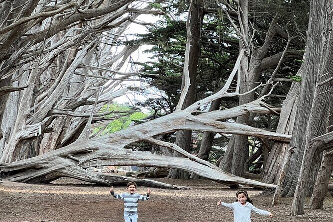 Carmel, Monterey and Big Sur Tour Private Tour from San Francisco - Final Thoughts