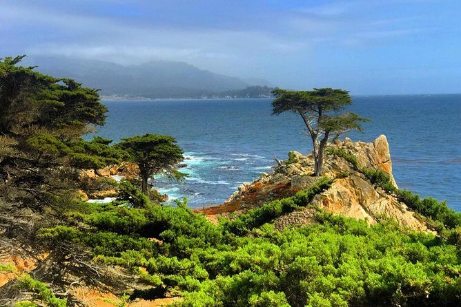 Carmel / Monterey Hwy 1 tour - Who Will Love This Tour?