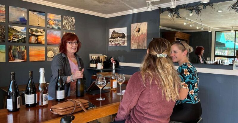 Carmel Valley Village: Wine Tasting Tours in a 1970 VW bus. - FAQ