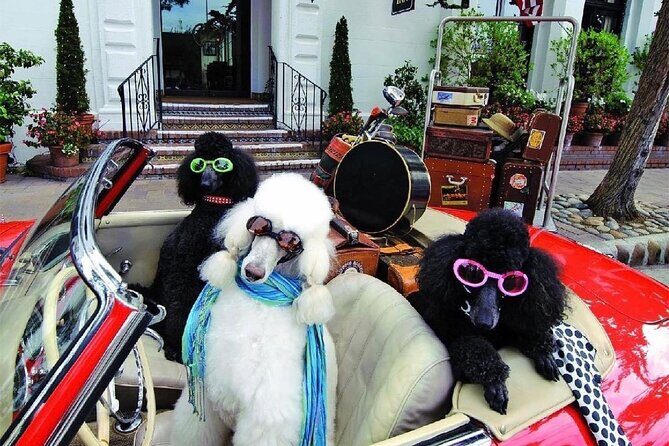 Carmel Walk Guided Tour Carmel by the Sea - The Tuck Box