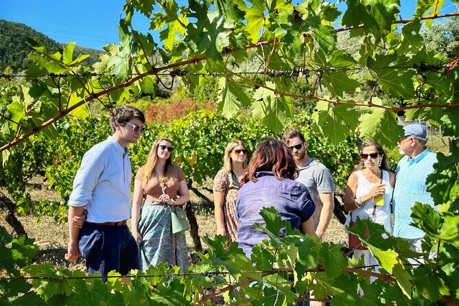 Carmignano Wine Tour with a Somm Small Group - FAQs