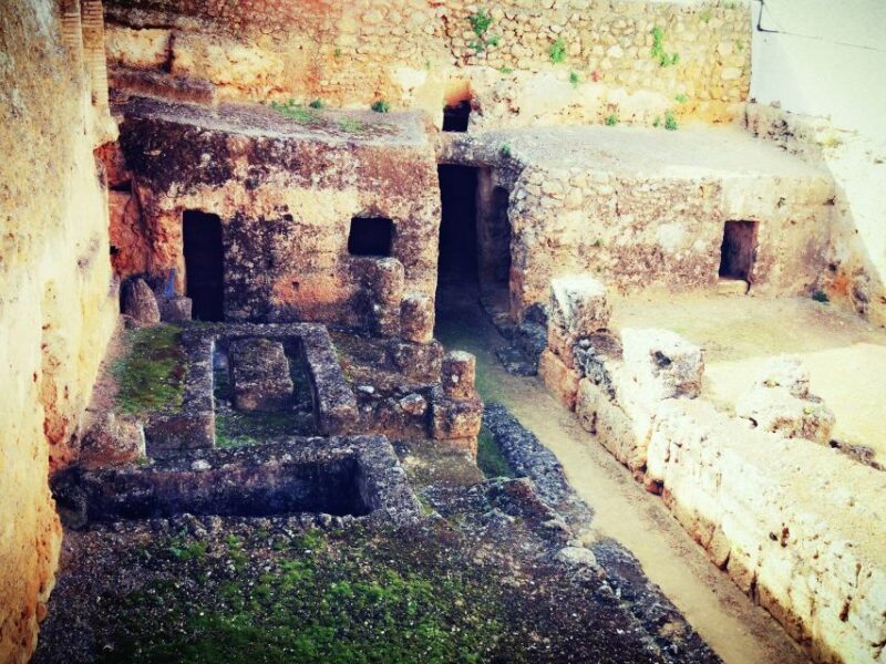 Carmona: City Walking Tour - Is It Worth It?