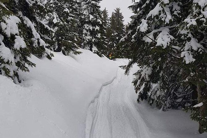 Carpathian mountains Snowmobile, ATV or Buggy tour in one day - Final Thoughts: Is This Tour for You?