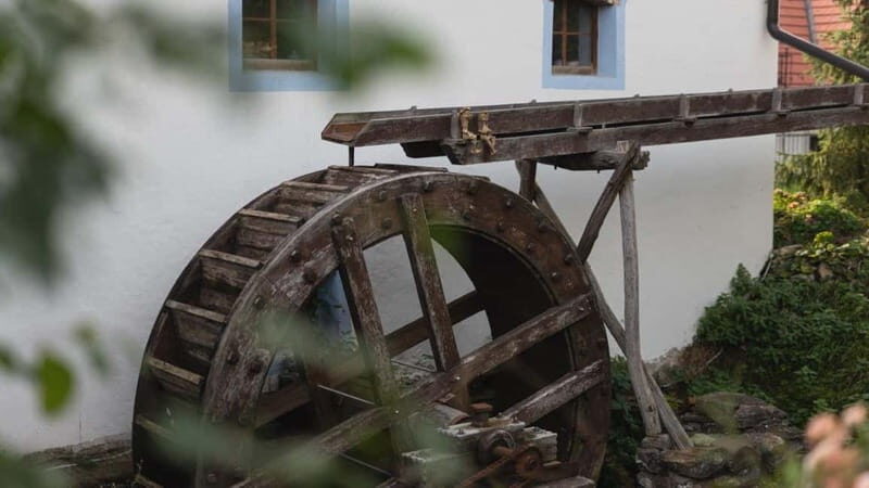 Carpathian Wine tasting tour + Red Stone Castle (Bratislava) - Pricing and Value