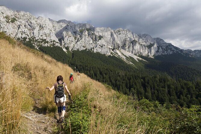 Carpathians in Romania: Piatra Craiului National Park with native Spanish guide. - Discovering the Carpathians in Romania: An Honest Look at the Piatra Craiului National Park Tour