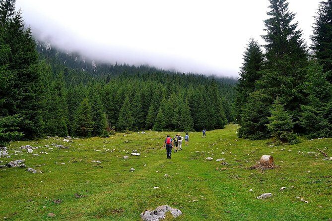 Carpathians in Romania: Piatra Craiului National Park with native Spanish guide. - Key Points