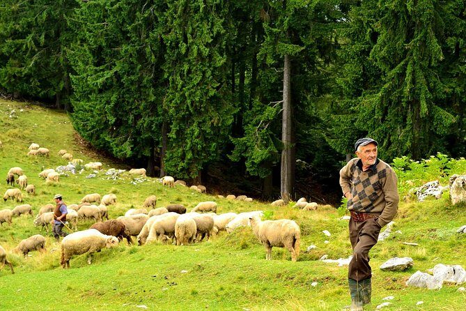 Carpathians in Romania: Piatra Craiului National Park with native Spanish guide. - The Verdict: Is This Tour Right for You?