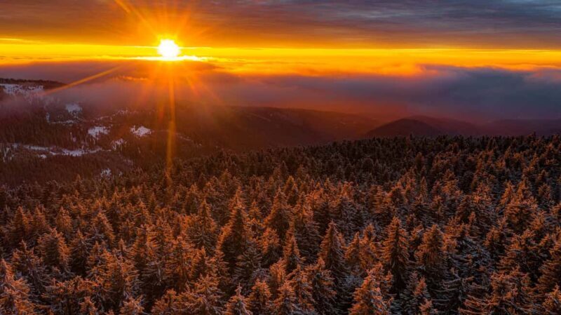 Carriage or Sleigh Ride with Picnic Basket in Covasna County - What to Expect on the Tour