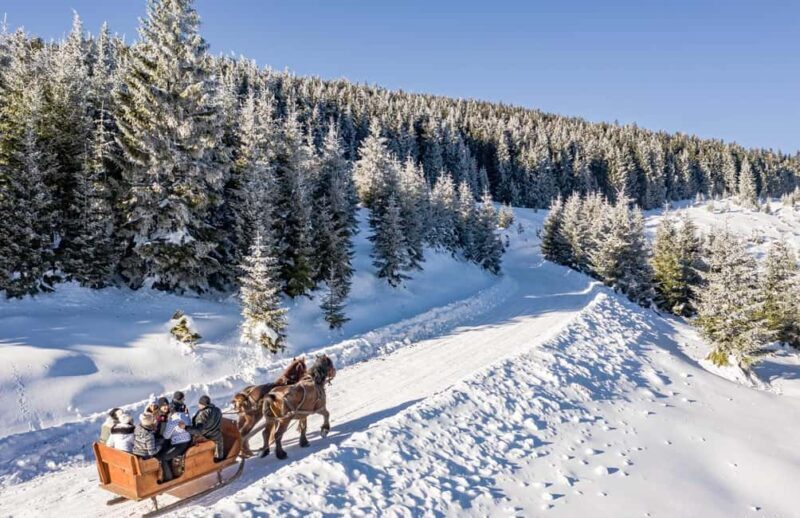 Carriage or Sleigh Ride with Picnic Basket in Covasna County - The Experience Provider and Practicalities