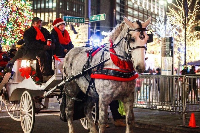 Carriage Ride in Central Park (VIP - PRIVATE) Since 1964 - An In-Depth Look at the Carriage Ride Experience