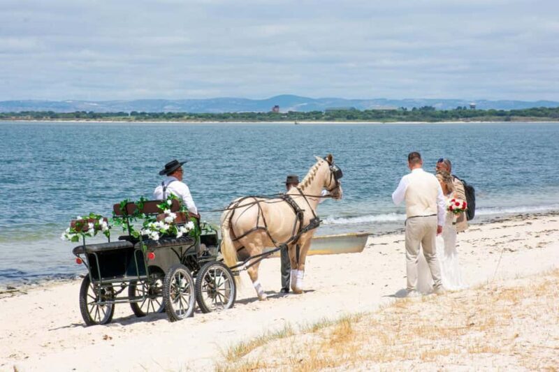 CARRIAGE Ride On The Beach (Rosário Beach) - The Itinerary in Detail