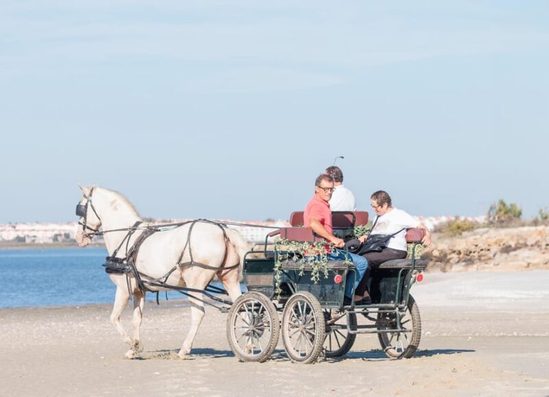 CARRIAGE Ride On The Beach (Rosário Beach) - The Value of This Experience