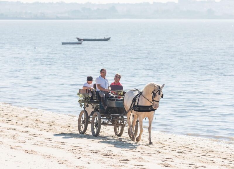 CARRIAGE Ride On The Beach (Rosário Beach) - FAQs
