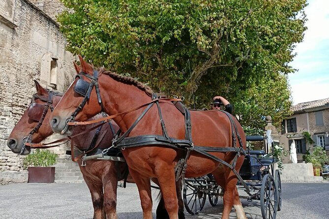 Carriage rides in the heart of the Luberon - Why This Tour Offers Good Value