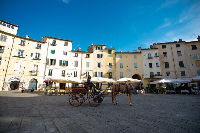 Carriage tour in the historic center of Lucca - Exploring the Itinerary: What to Expect from Your Lucca Carriage Tour