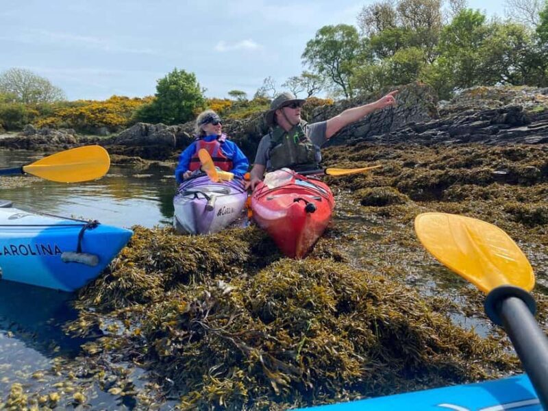 Carrick: Kayak Experience on the River Girvan - Key Points