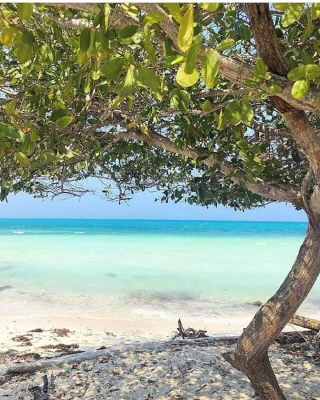 cartagena: Mucura and Santa Cruz Islands Tour spectacular - Final Thoughts