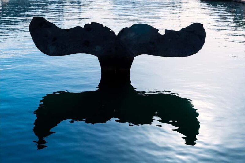 Cartagena Private Tour (Spain) - What’s the Value?