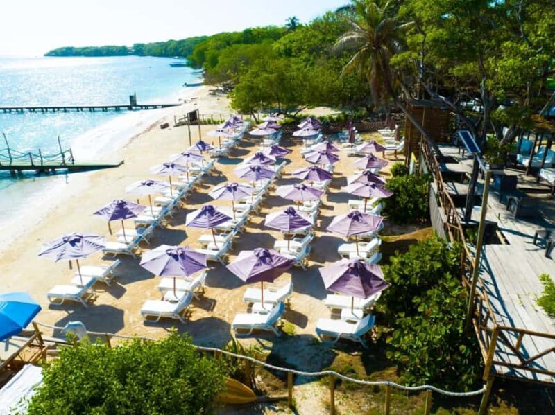 Cartagena: Rosario Island Beach Club Day Trip and OPEN BAR - Exploring the Experience in Detail