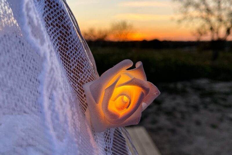 Carvoeiro, Portimão, Lagos: Algarve Romantic Vineyard Picnic - Key Points