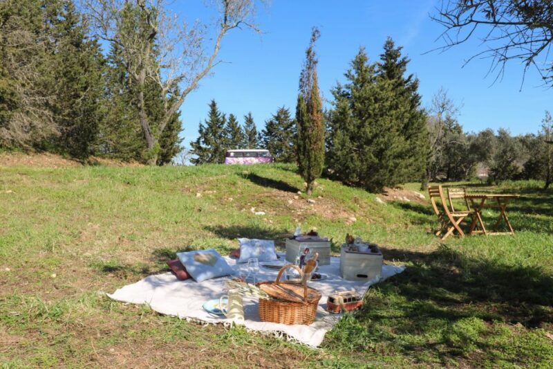 Carvoeiro, Portimão, Lagos: Algarve Romantic Vineyard Picnic - Frequently Asked Questions (FAQ)