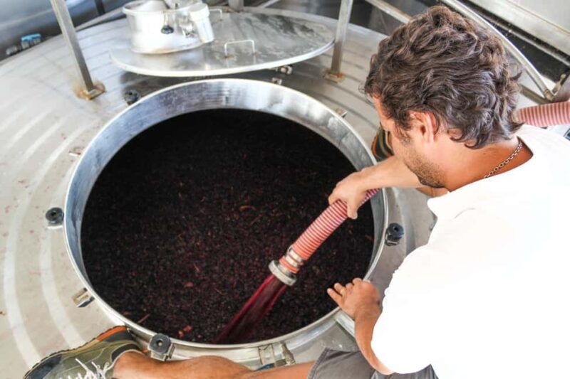 Casa Relvas, Évora - Visit to the Winery with Tasting of 5 wines and Tapas - Is It Worth the Price?