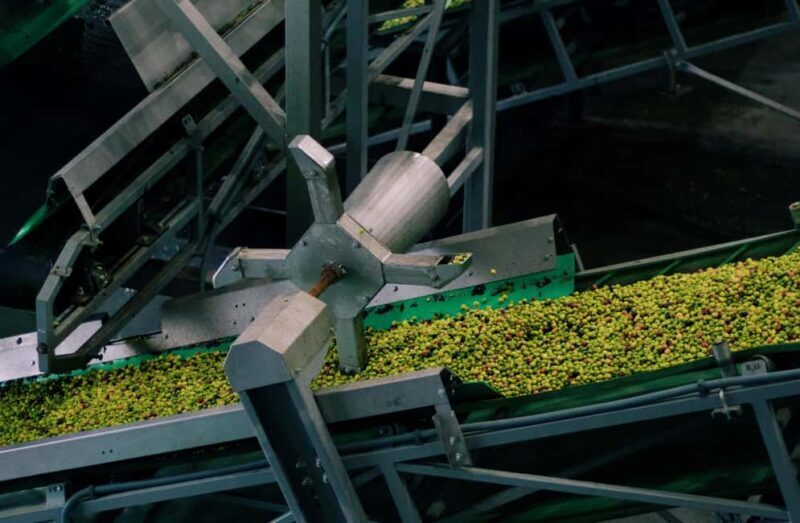 Casa Relvas, Vidigueira: Visit the Olive Press, Technical Tasting of Olive Oils and Wines - Key Points