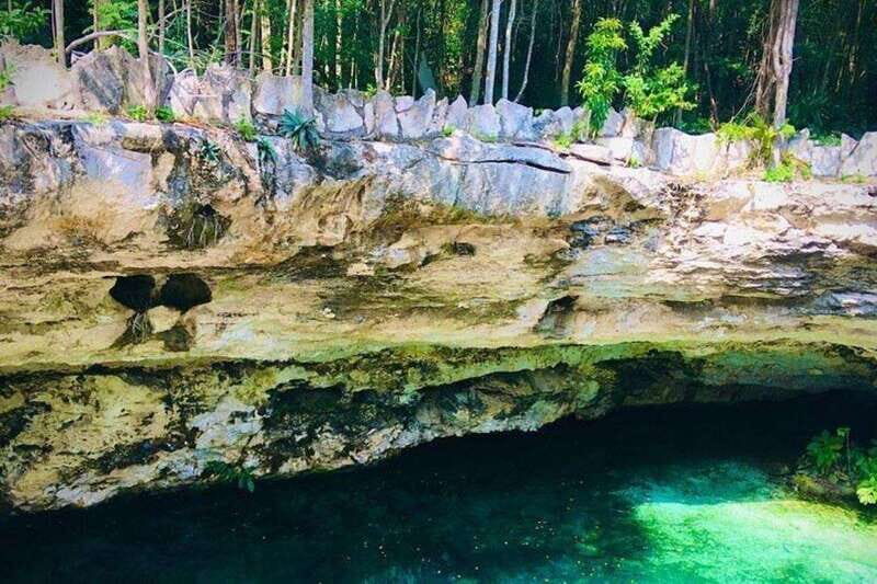 Casa Tortuga Park: Cenote Tour - Key Points