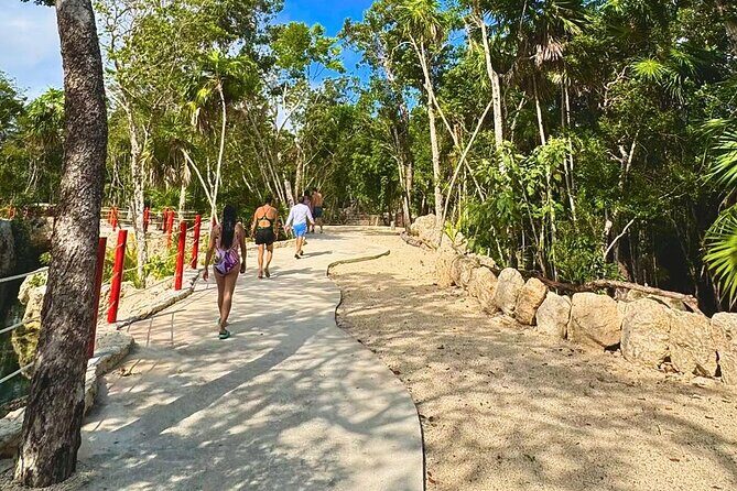 Casa Tortugas cenotes, Tulum Mayan site and Madre Naturaleza tour - Final Thoughts