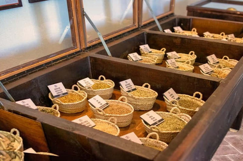 Casa Vermouth Padró: Vermouth tasting and guided visit in Bràfim (Tarragona) - Key Points