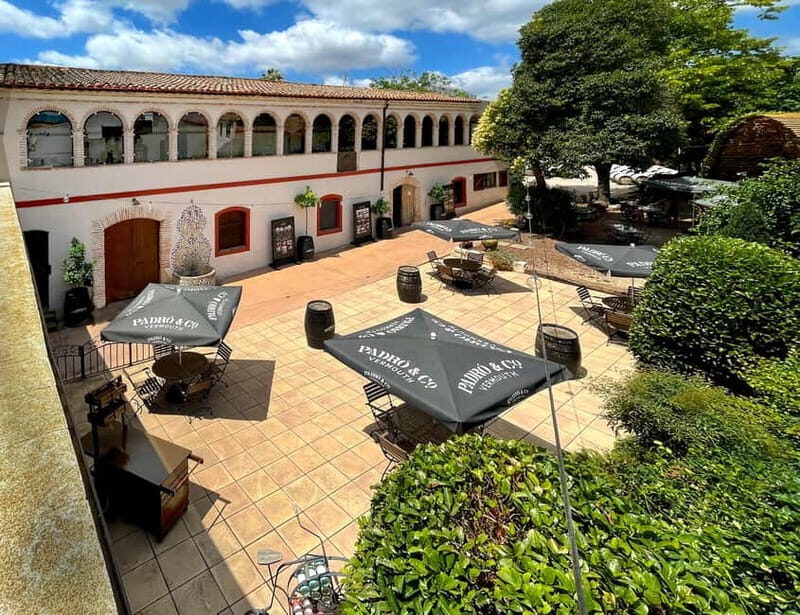 Casa Vermouth Padró: Vermouth tasting and guided visit in Bràfim (Tarragona) - Practicalities: How This Tour Fits Into Your Trip