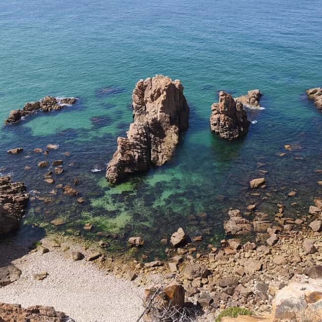 Cascais: Atlantic Coastline Wild Hike - Key Points
