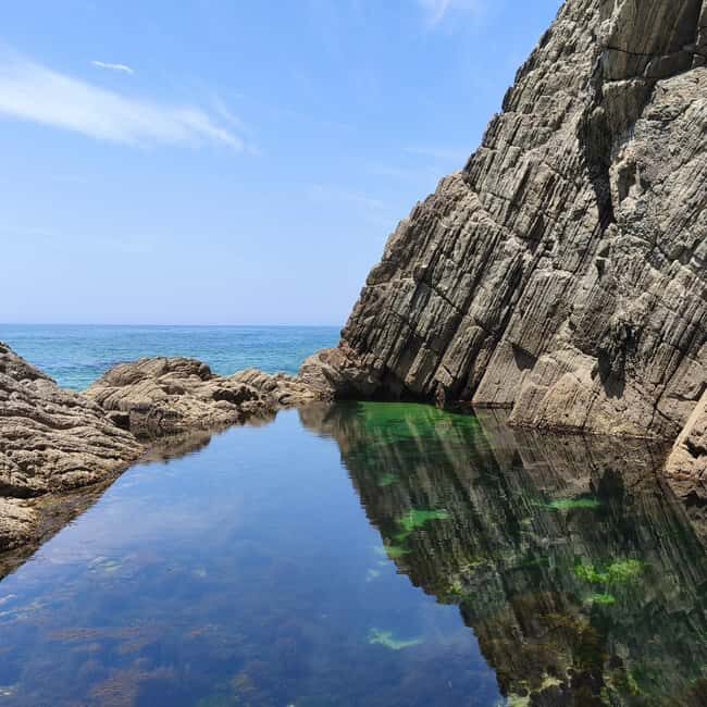 Cascais: Atlantic Coastline Wild Hike - A Closer Look at the Experience