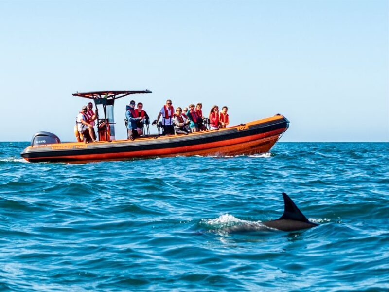 Cascais: Dolphin Watching Tour - Who Is This Tour Best For?