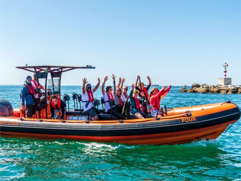 Cascais: Dolphin Watching Tour - Pricing and Value