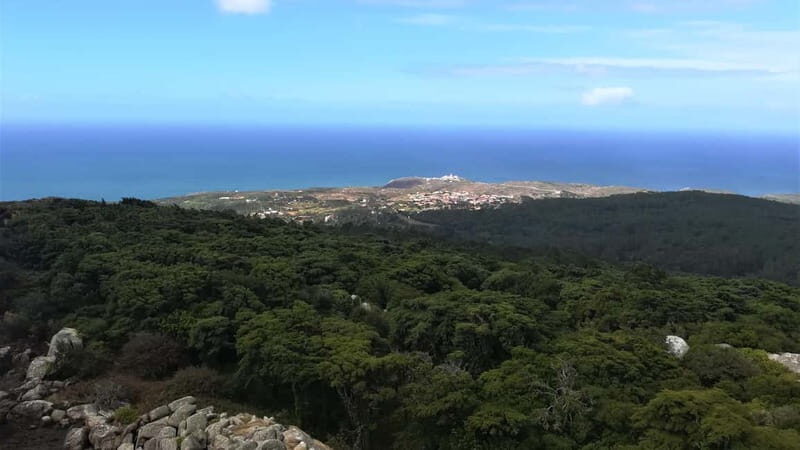 Cascais: Open Water Swimming and Hiking Experience - What You Can Expect from This Experience