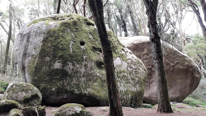 Cascais: Open Water Swimming and Hiking Experience - Practical Details