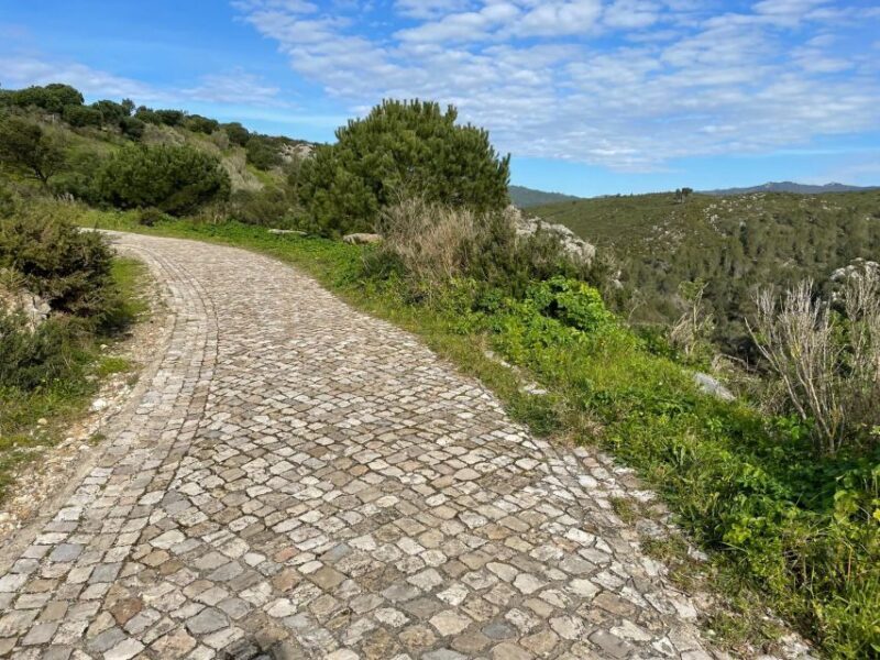 Cascais-Sintra E-bike Tour: Coast & Countryside Adventure - FAQ