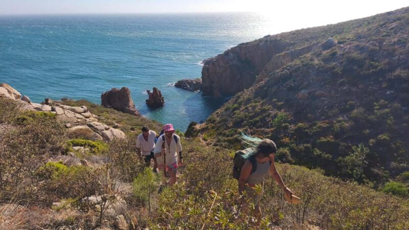 Cascais: Wild Coast Hike to a Secluded Swim Spot - What’s Included and What’s Not