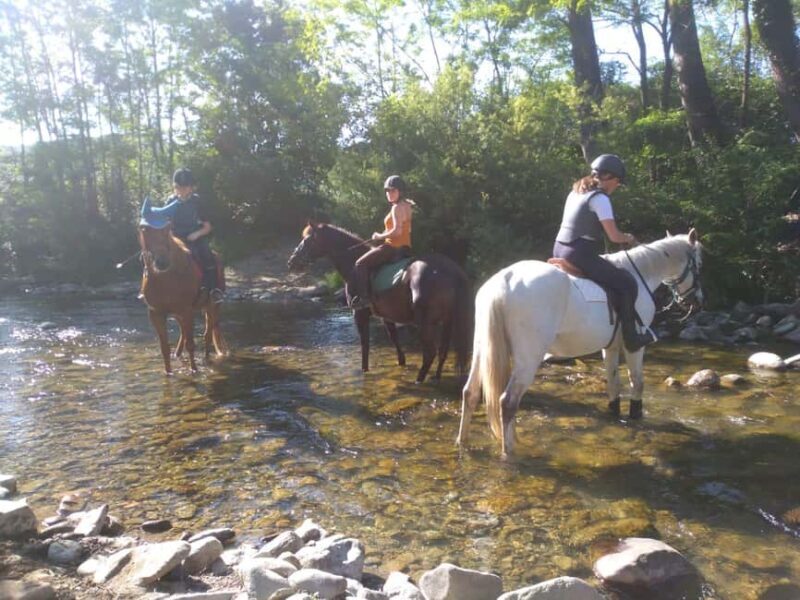 Casentino: Horseback Riding Tour with Verna Sanctuary View - Key Points