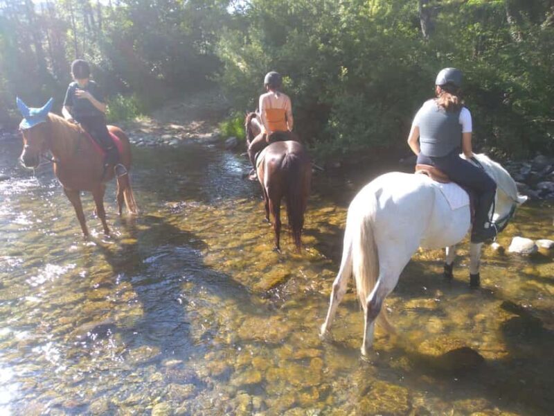 Casentino: Horseback Riding Tour with Verna Sanctuary View - What’s It Like to Ride Through the Casentino Countryside?