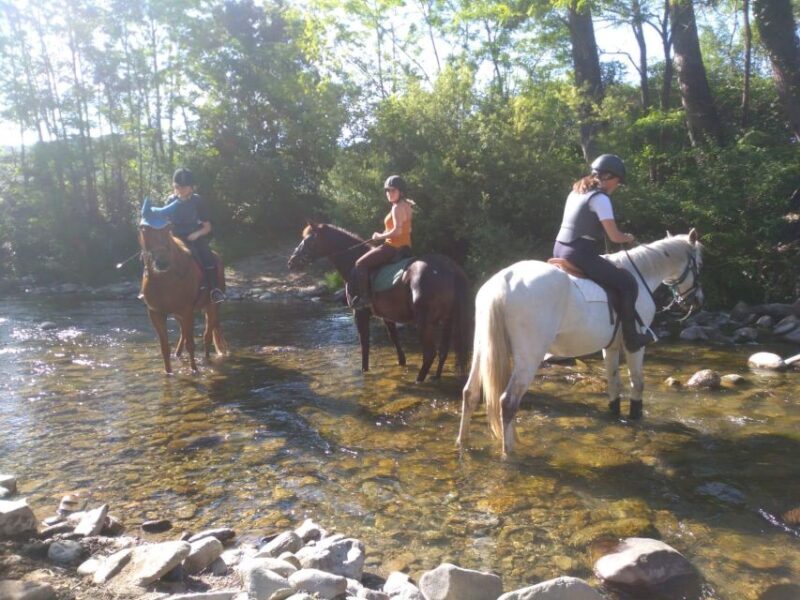 Casentino: Horseback Riding Tour with Verna Sanctuary View - Who Is This Tour Best For?