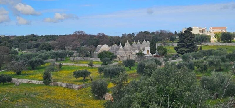 Cassano: E-Bike & Mozzarella DOP Lab in Alta Murgia Park - An Overview of What You Can Expect
