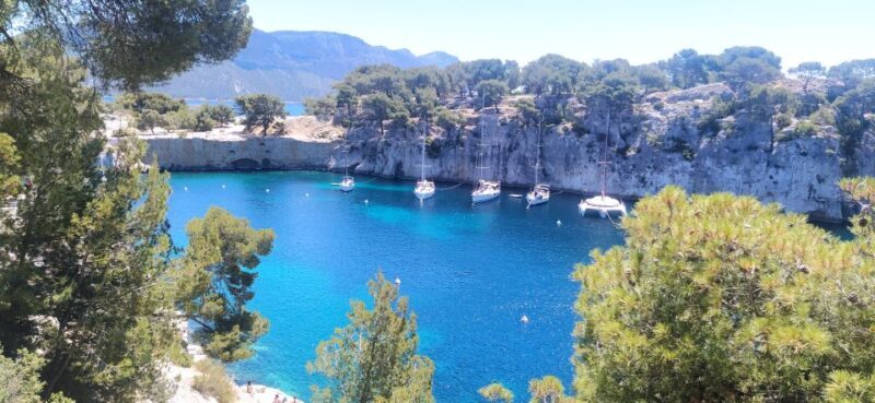 Cassis: 3 Calanques Half-Day Hiking Tour with Swimming - What the Reviews Say