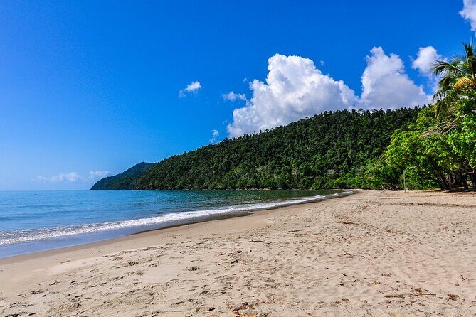 Cassowary Coast Goondoi Culture Tour - An In-Depth Look at the Experience