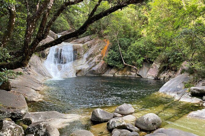 Cassowary Coast Goondoi Culture Tour - Who Should Consider This Tour?