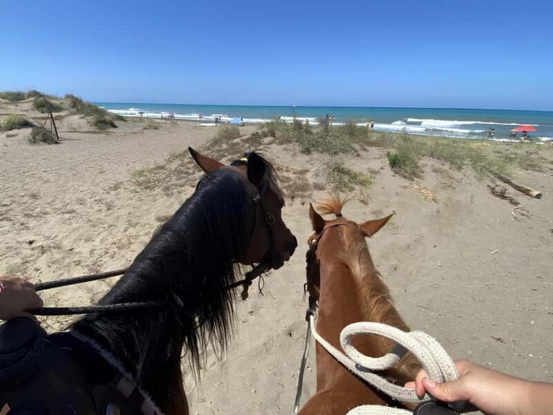 Castagneto Carducci: Horseback Riding Experience in Tuscany - An Overview of the Tour